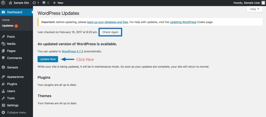 how to update wp core